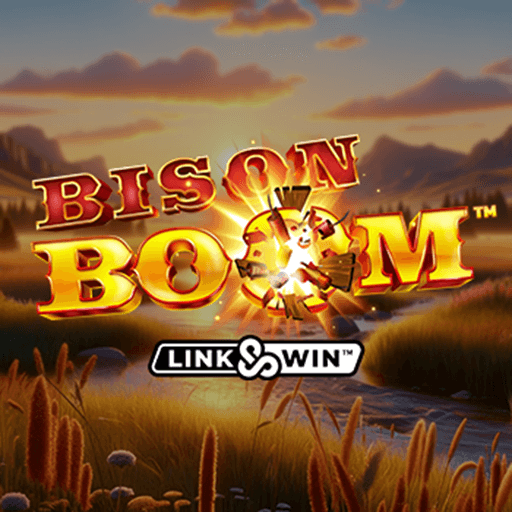 Bison Boom